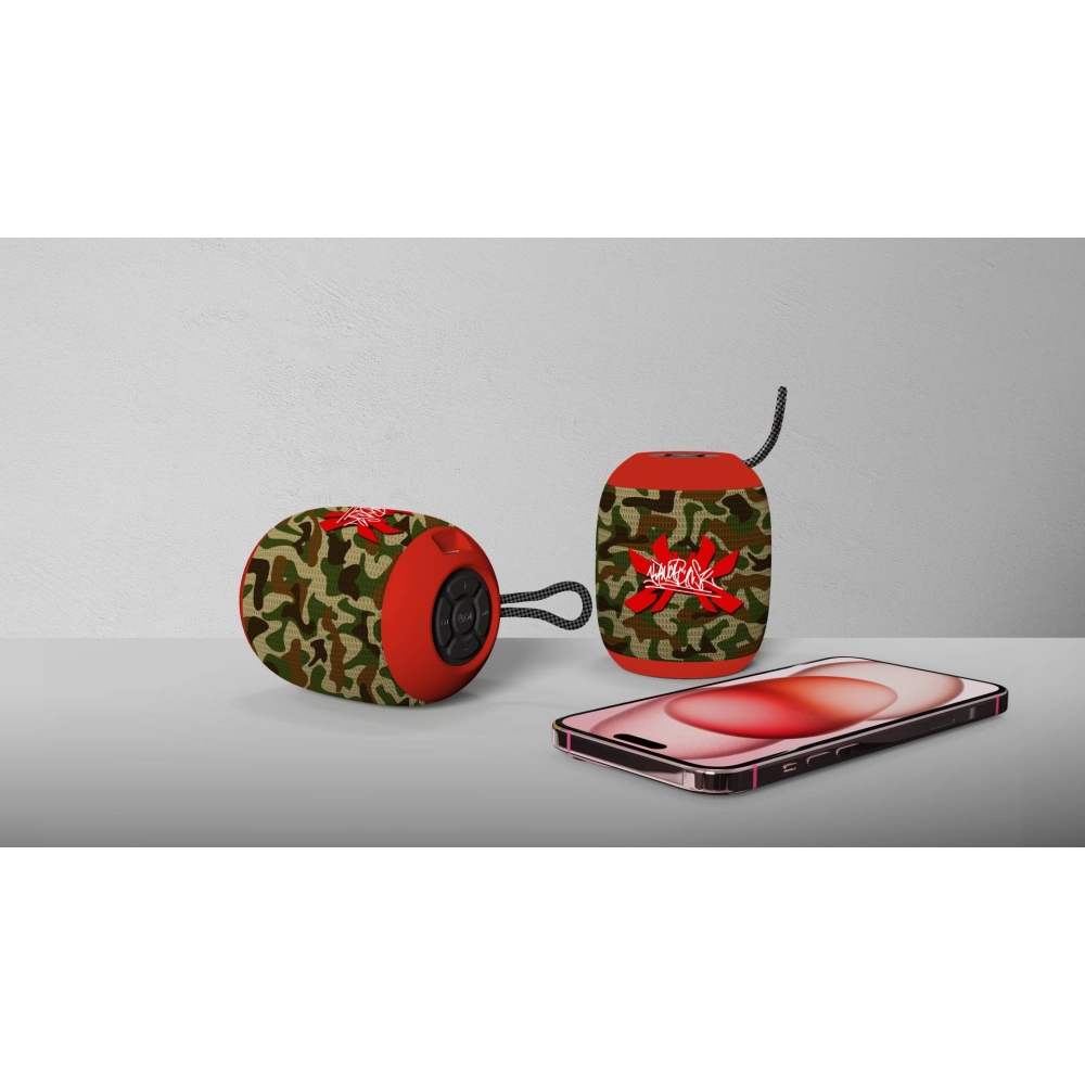 2413 Bluetooth Speaker
