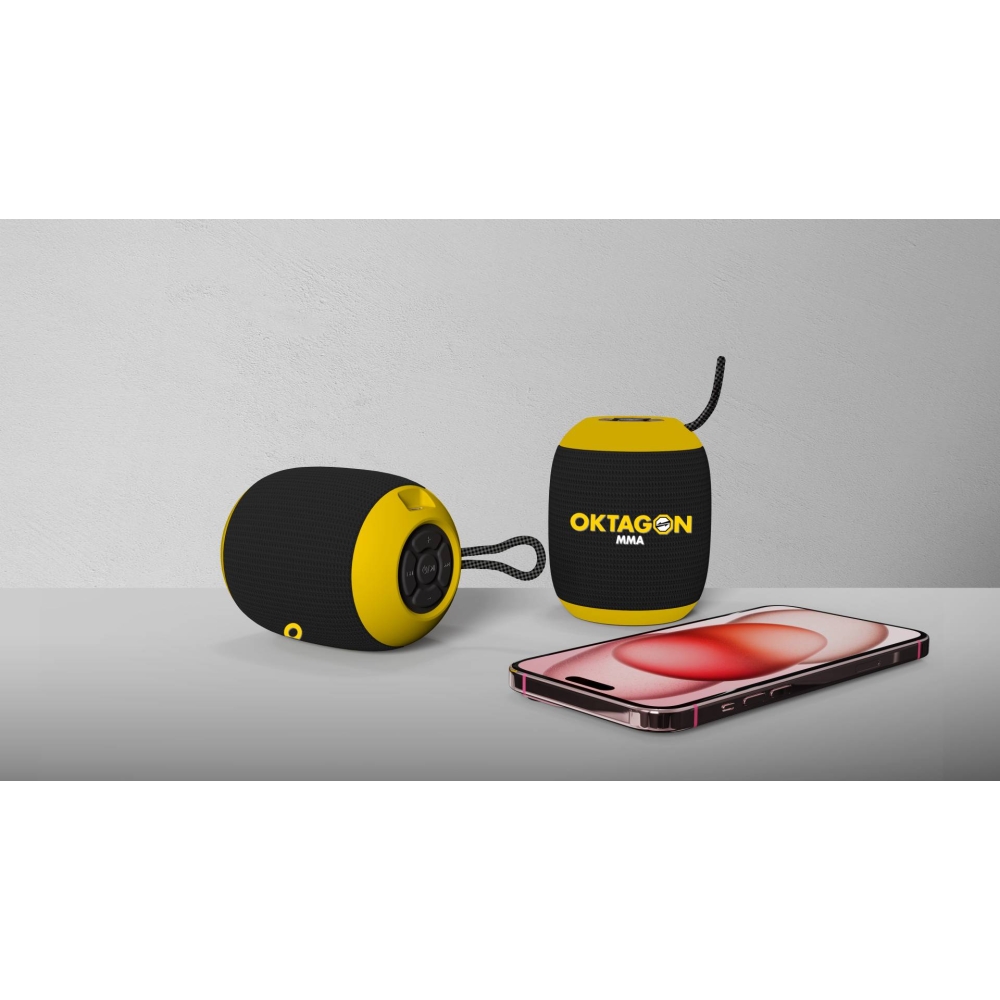 2413 Bluetooth Speaker