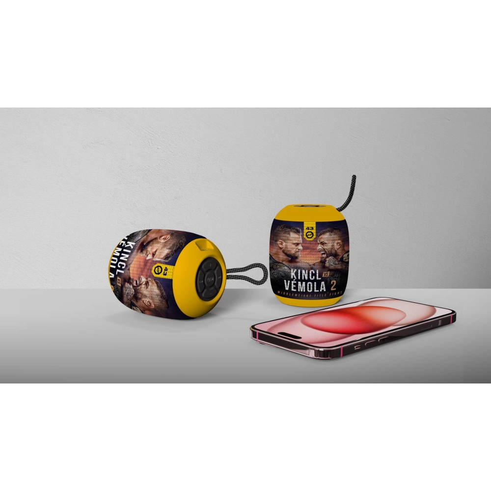 2413 Bluetooth Speaker
